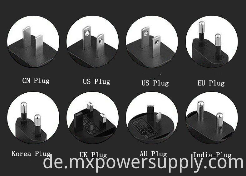 Faszialgewehr -Stromversorgung 24 V 25 V 26V 27V 29V 1A AC DC -Stromadapter mit US EU Au UK Stecker